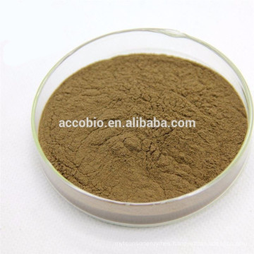 bodybuilding supplements Foti Extract Powder, Flavone 60%